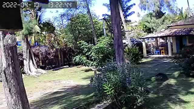 Pousada Vila Imbassai Eksteriør billede